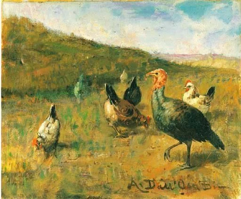 Galline e tacchino